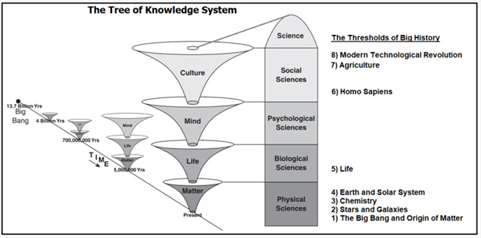 Tree of Knowledge